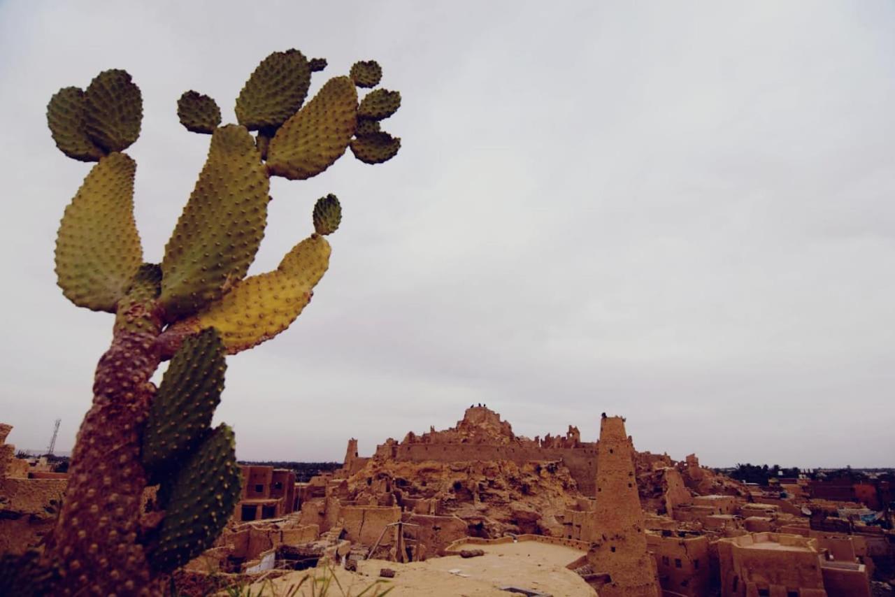 Апартаменты Nainshal Siwa Siwa Oasis Экстерьер фото